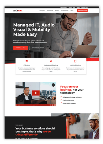 BIZ Portfolio Image
